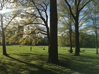 Description of the image